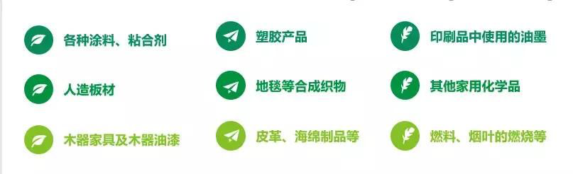 圖片6