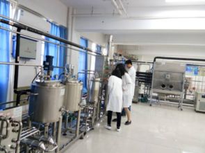 綠色農(nóng)畜產(chǎn)品生產(chǎn)與加工行業(yè)技術(shù)開發(fā)基地的技術(shù)開發(fā)與創(chuàng)新