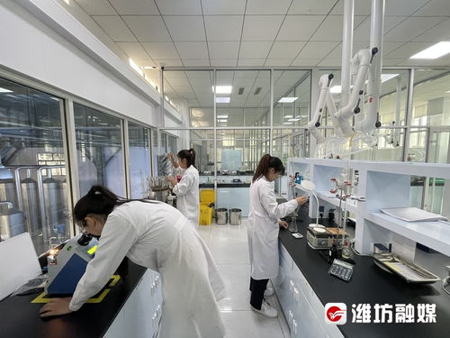 搶風口 布賽道 濰坊諸城以技術開發為核心，加速生物制造產業發展